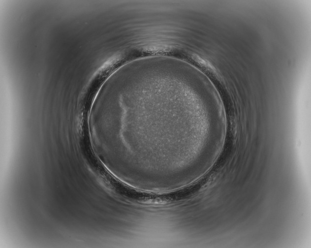 X0000085770735200704091352