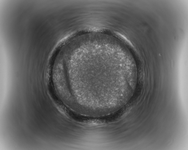 X0000085770736200704091352