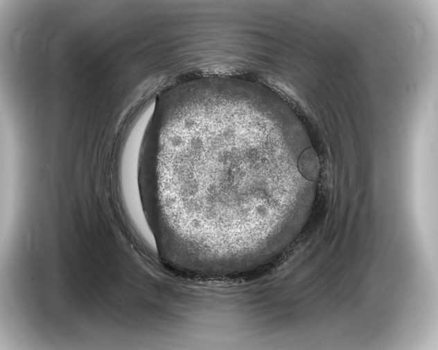 X0000085770738200704091352