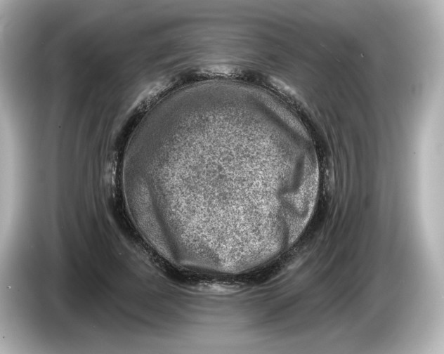 X0000085770739200704091352