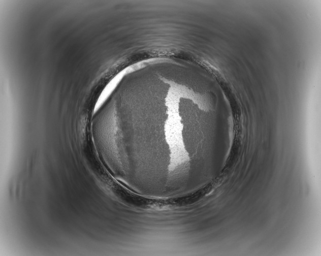 X0000085770742200704091352