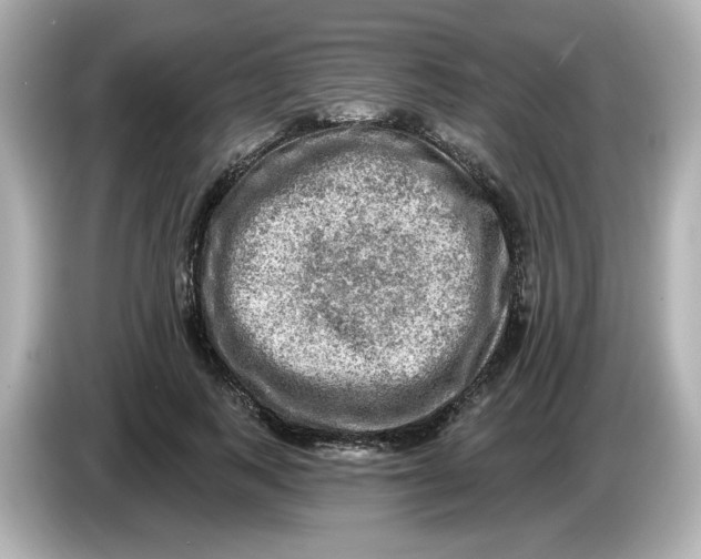 X0000085770743200704091352