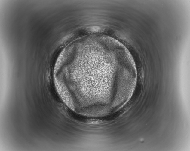 X0000085770746200704091352