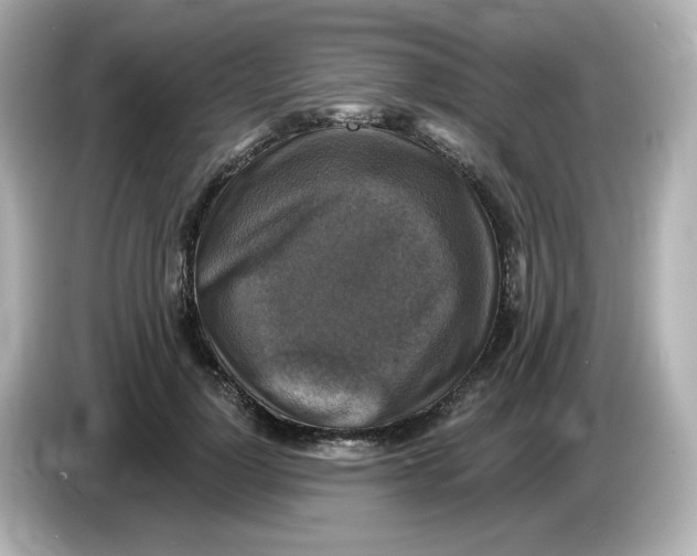 X0000085770748200704091352