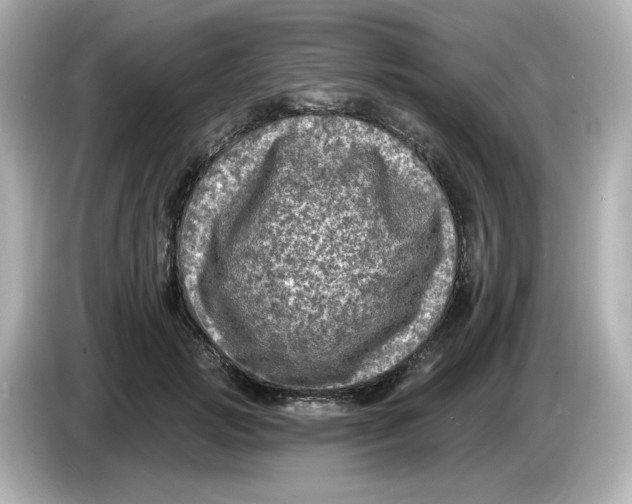 X0000085770749200704091352