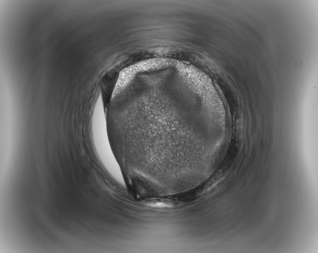 X0000085770750200704091352