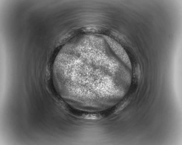 X0000085770751200704091352