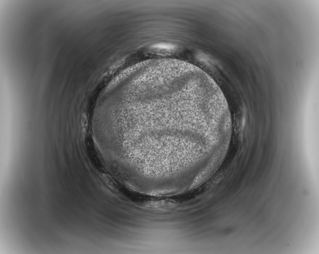 X0000085770752200704091352