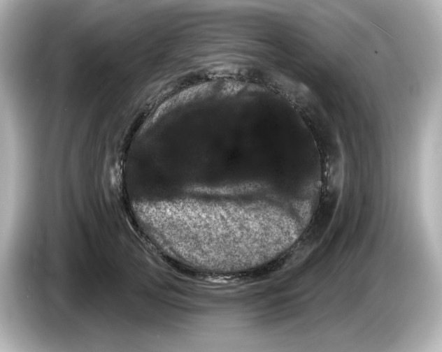 X0000085770753200704091352