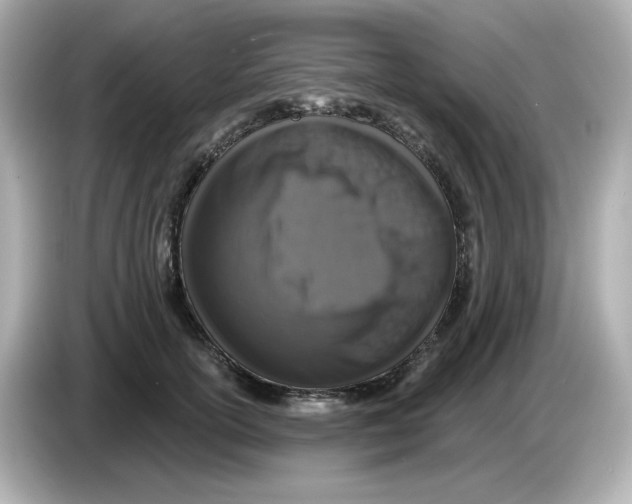 X0000085770754200704091352