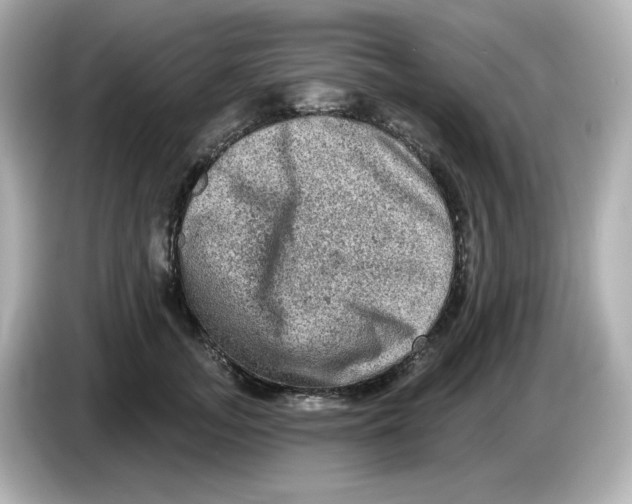 X0000085770755200704091352