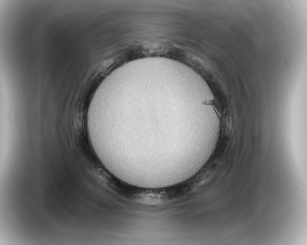 X0000085770756200704091352