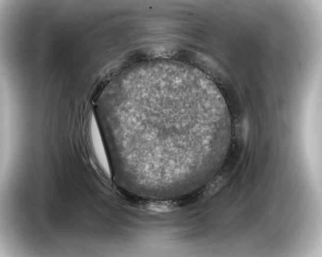 X0000085770757200704091352