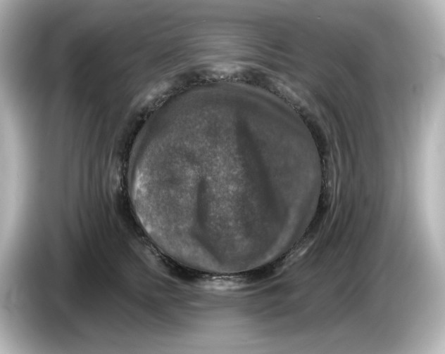 X0000085770758200704091352