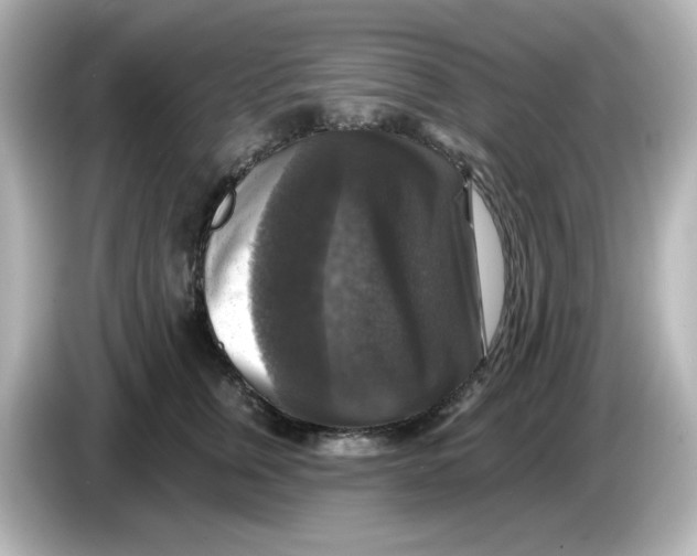 X0000085770759200704091352