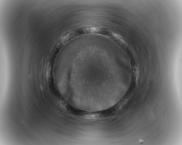 X0000085770760200704091352