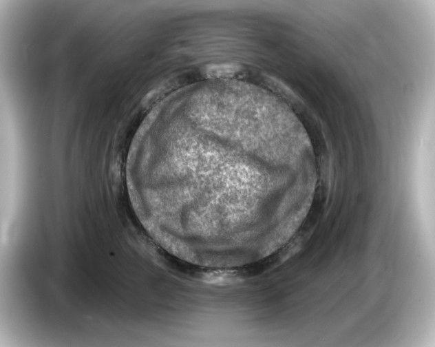 X0000085770761200704091352