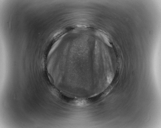 X0000085770762200704091352