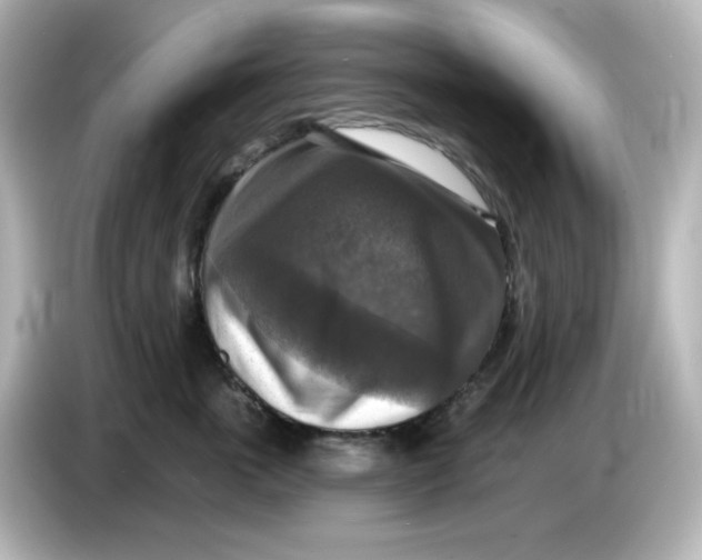 X0000085770763200704091352