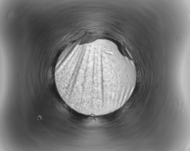 X0000085770764200704091352