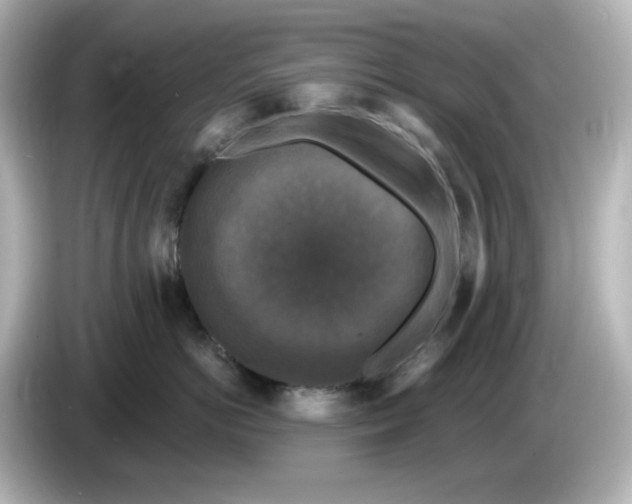 X0000085770766200704091352