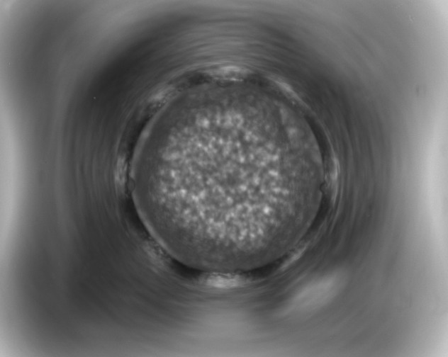 X0000085770767200704091352