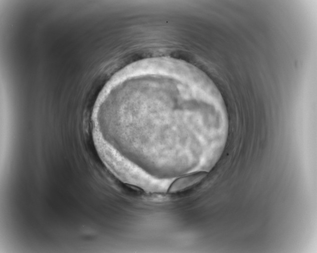 X0000085770768200704091352