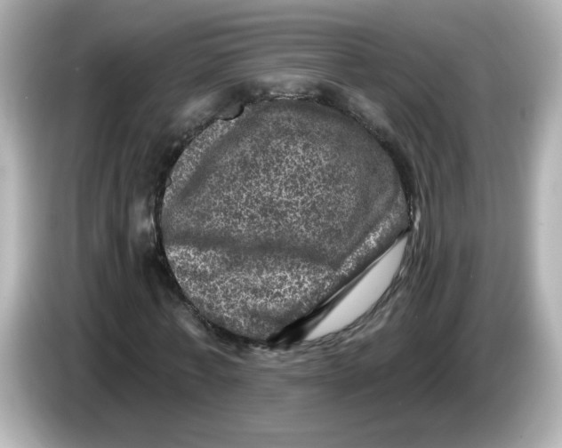 X0000085770771200704091352