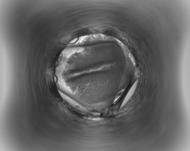 X0000085770772200704091352