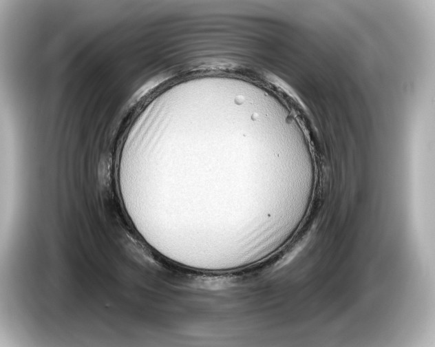 X0000085770778200704091352