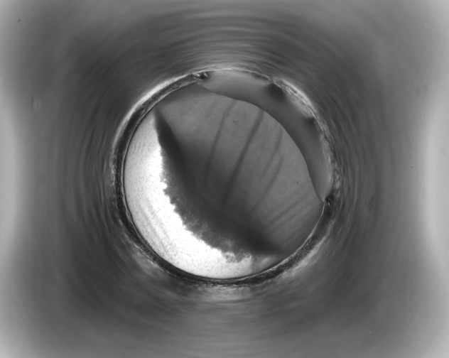 X0000085770779200704091352