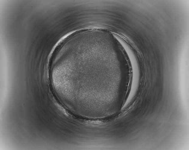 X0000085770784200704091352