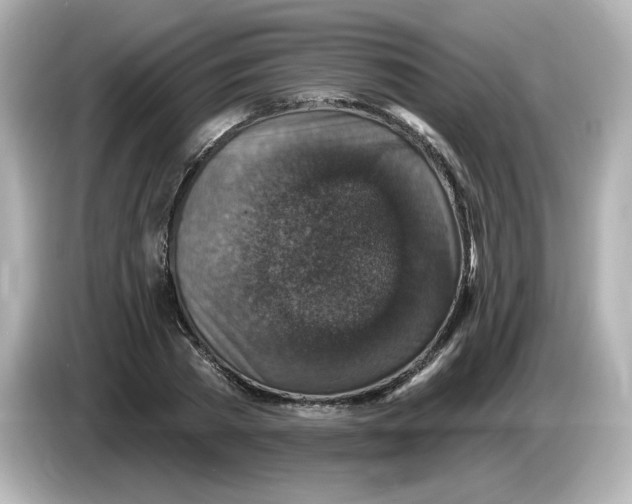 X0000085770785200704091352