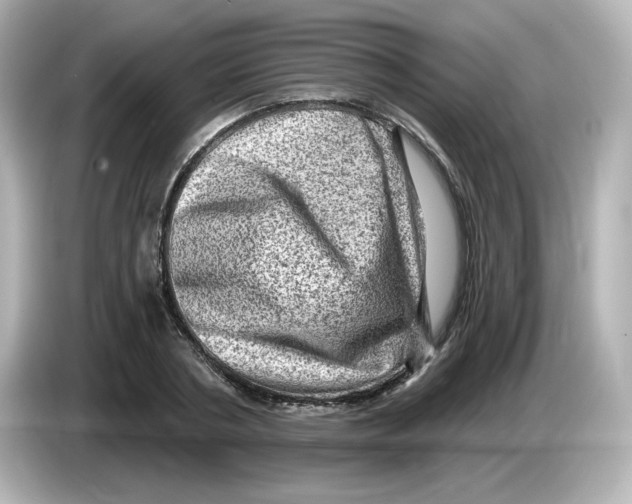 X0000085770786200704091352