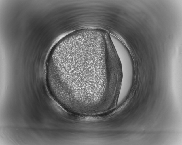 X0000085770787200704091352