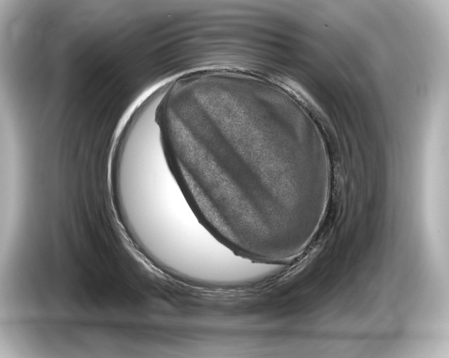 X0000085770788200704091352