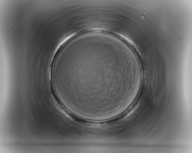 X0000085770790200704091352