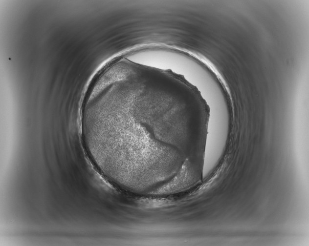 X0000085770791200704091352