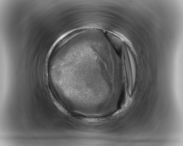 X0000085770792200704091352