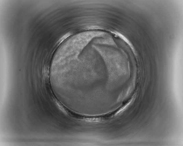 X0000085770793200704091352