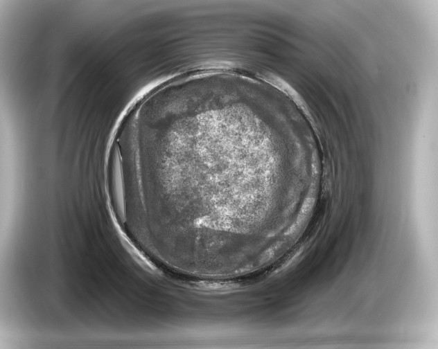 X0000085770795200704091352