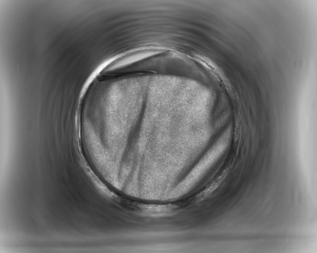 X0000085770796200704091352