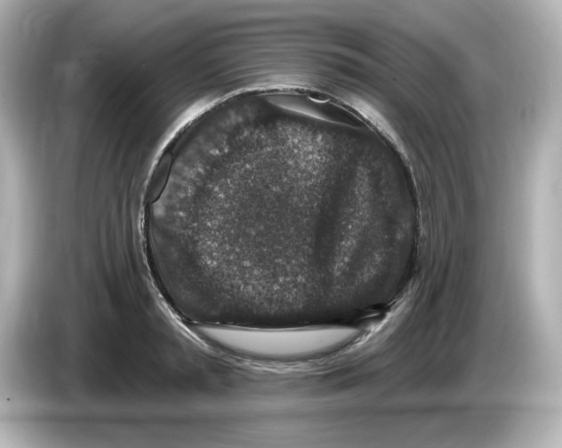 X0000085770797200704091352