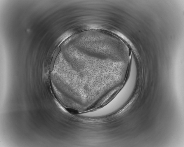 X0000085770801200704091352