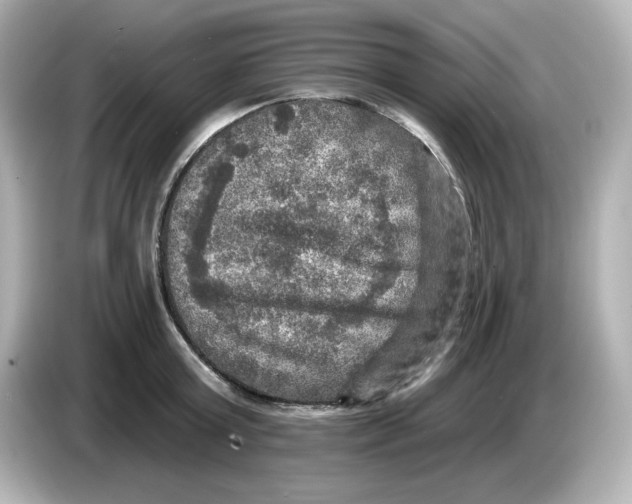 X0000085770803200704091351