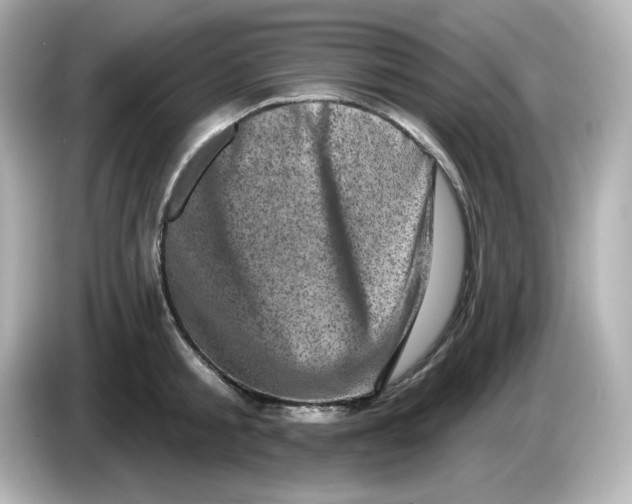 X0000085770805200704091351