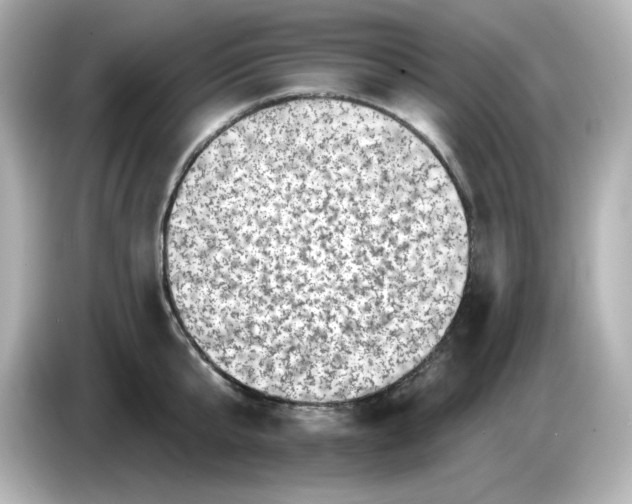 X0000085770807200704091351