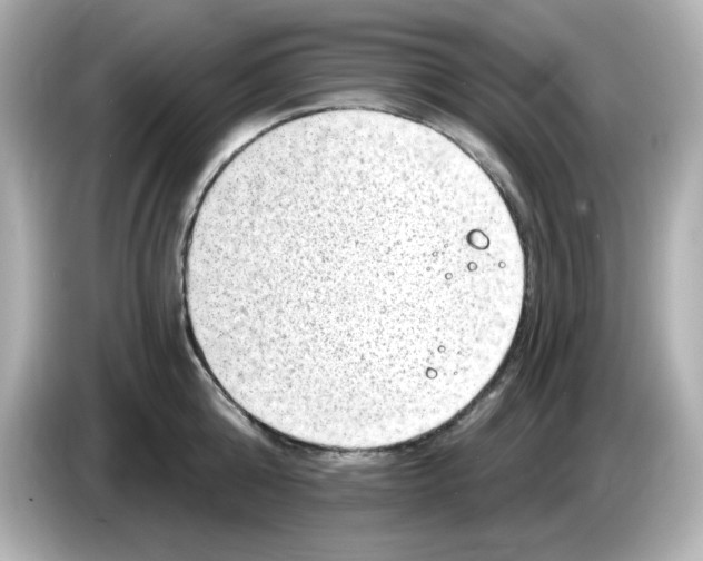 X0000085770808200704091351