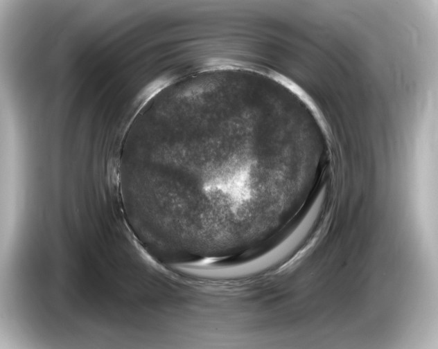 X0000085770809200704091351