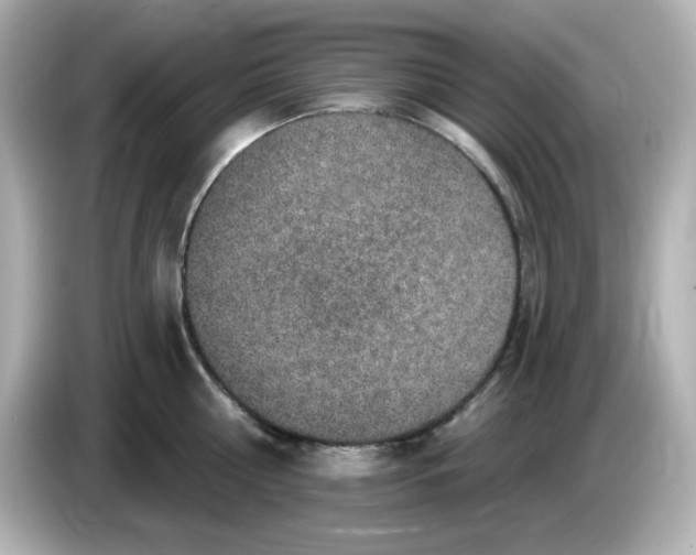 X0000085770810200704091351